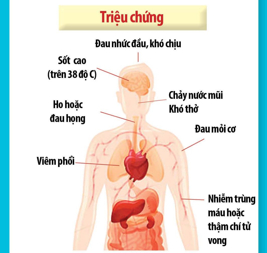 Dịch bệnh viêm phổi do virus corona