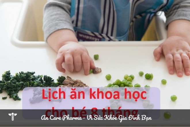 Thực đơn ăn dặm cho bé 8 tháng tuổi