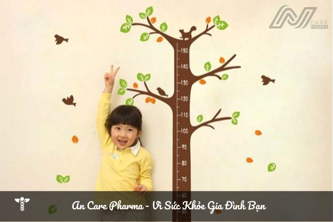 Vai trò của thực phẩm giàu sắt và canxi