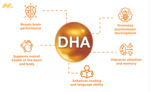 DHA không thể thiếu cho việc cấu tạo hoàn thiện và phát triển chức năng của não bộ và mắt