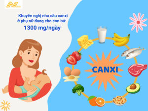 Khuyến nghị nhu cầu canxi ở phụ nữ cho con bú