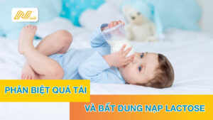 Quá tải hay bất dung nạp Lactose mẹ biết cách phân biệt chưa?