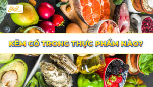 AN-CARE-PHARMA-THỰC-PHẨM-GIÀU-KẼM