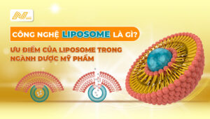 AN-CARE-PHARMA-LIPOSOME-LÀ-GÌ-ƯU-ĐIỂM-CỦA-LIPOSOME