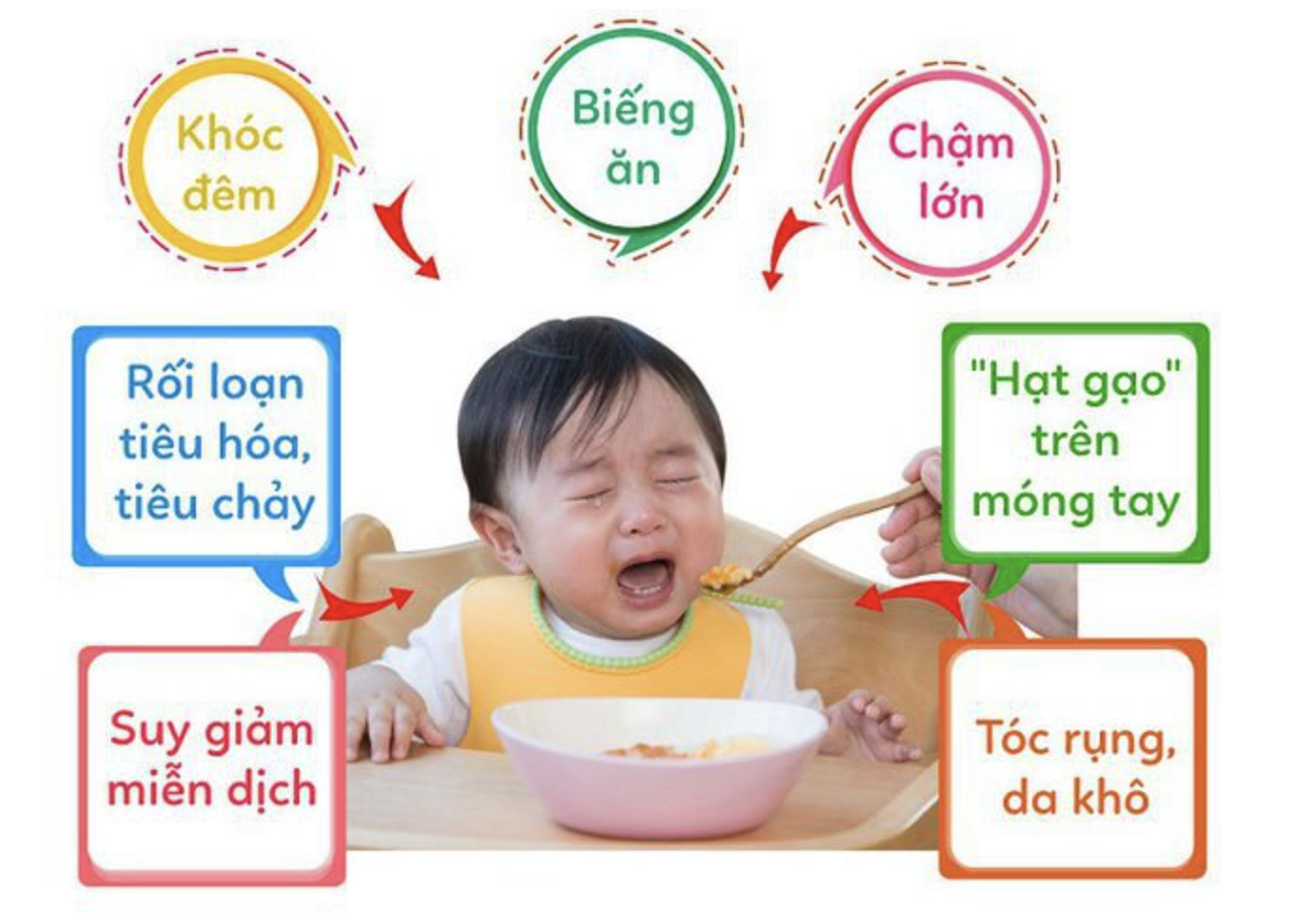 Vai trò của Kẽm