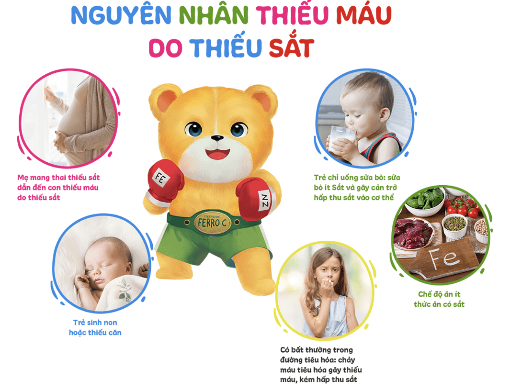 Nguyên nhân thiếu máu dinh dưỡng do thiếu sắt ở trẻ em