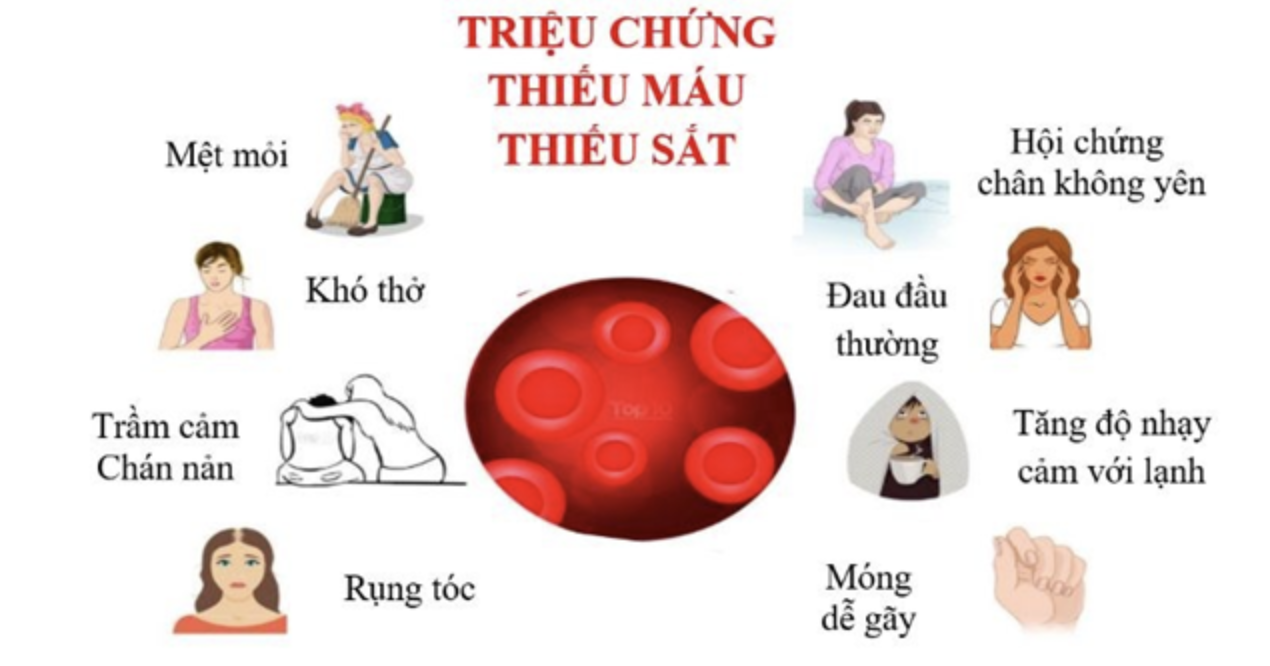 Dấu hiệu thiếu máu do thiếu sắt