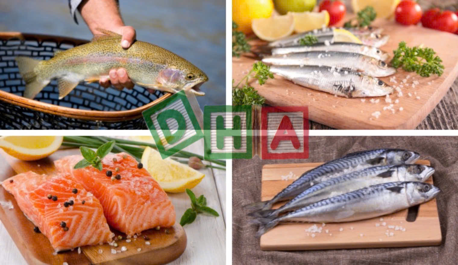 Các loại cá báo giàu DHA cho bé