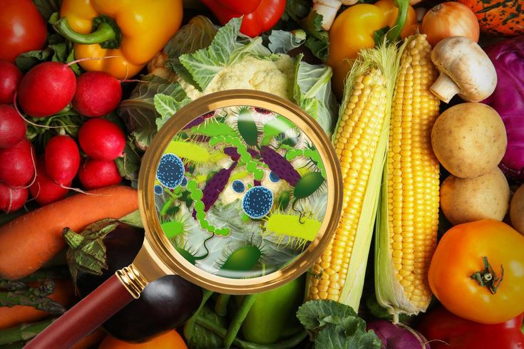 Vi khuẩn dễ dàng xâm nhập vào thực phẩm 
