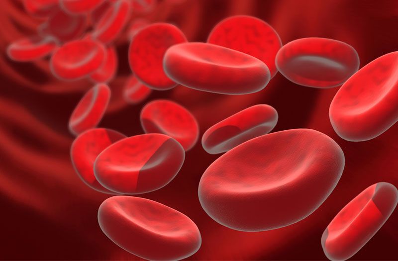 Giảm lượng sắt lưu thông trong máu nhưng lại là một cơ chế để hạn chế nguồn sắt mà tác nhân gây bệnh có thể sử dụng.