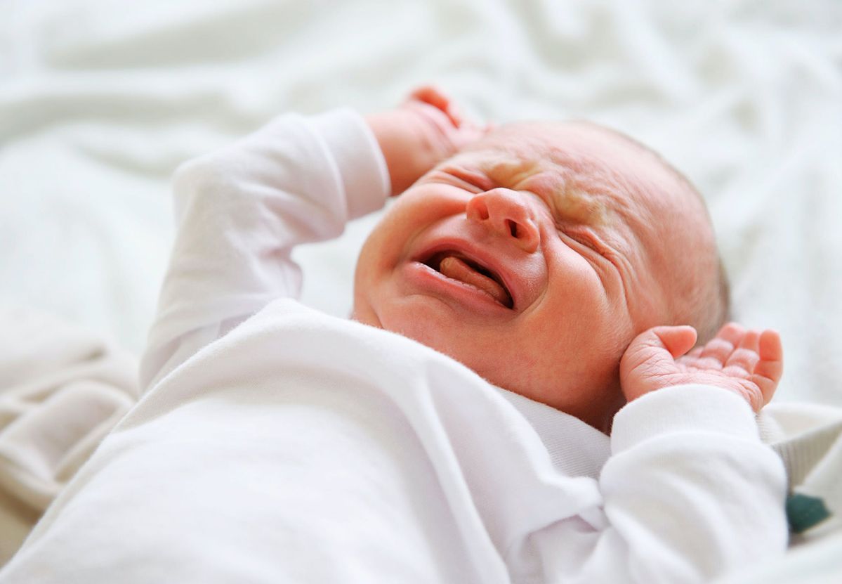 Với trẻ sơ sinh bị colic (khóc dạ đề) nên chọn chủng Lactobacillus reuteri