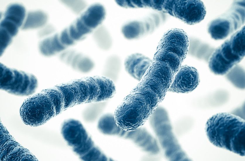 Đánh giá chất lượng men vi sinh là phải ghi rõ chủng (strain).